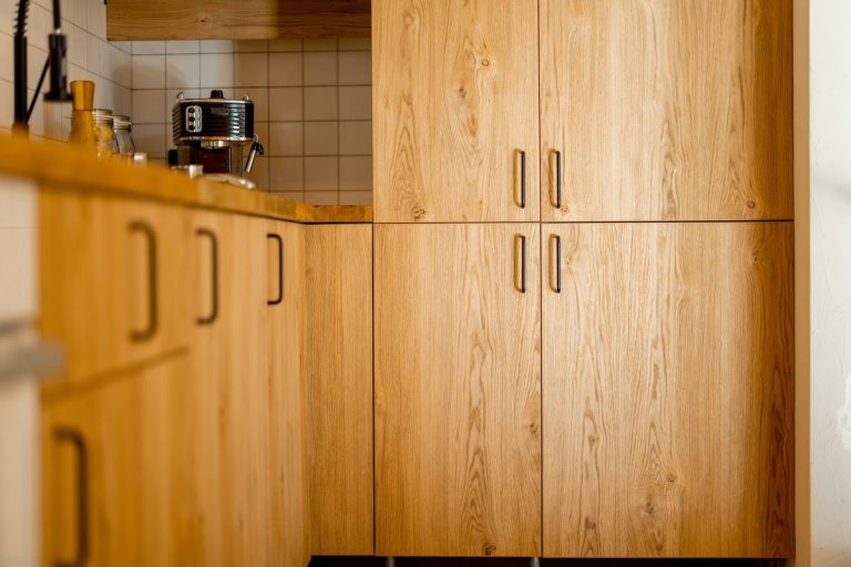 How to Protect Your Kitchen Cabinets from Termites in New Orleans, LA