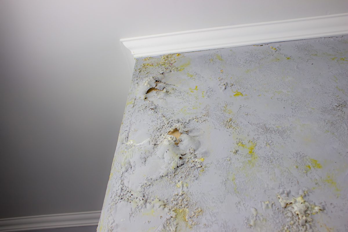 A closet wall showing damp and discoloration